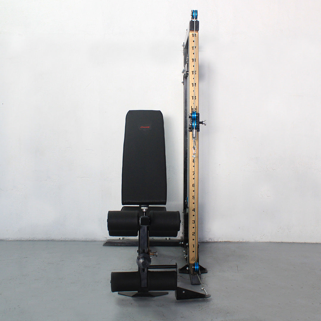 Omni Pulley TRX + Optimus GEX