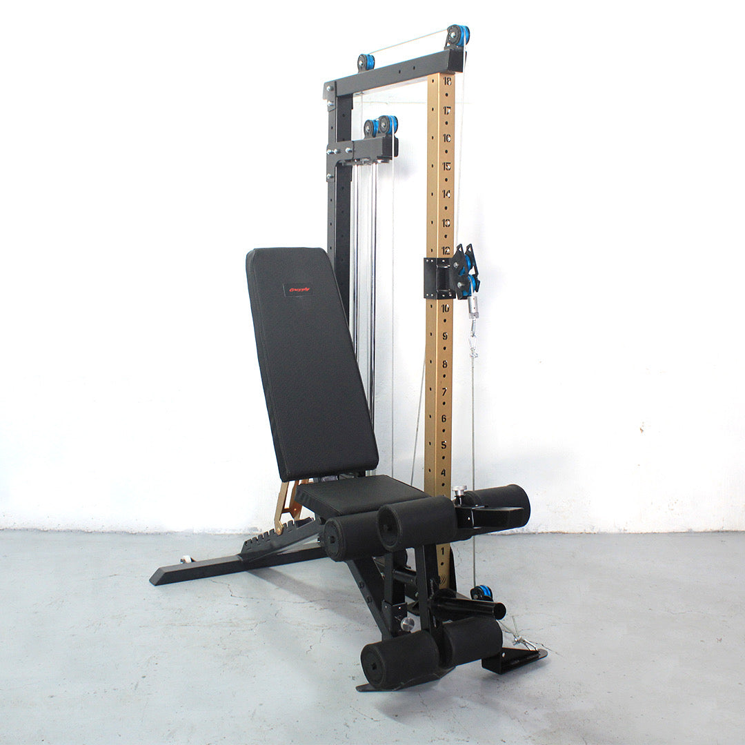 Omni Pulley TRX + Optimus GEX