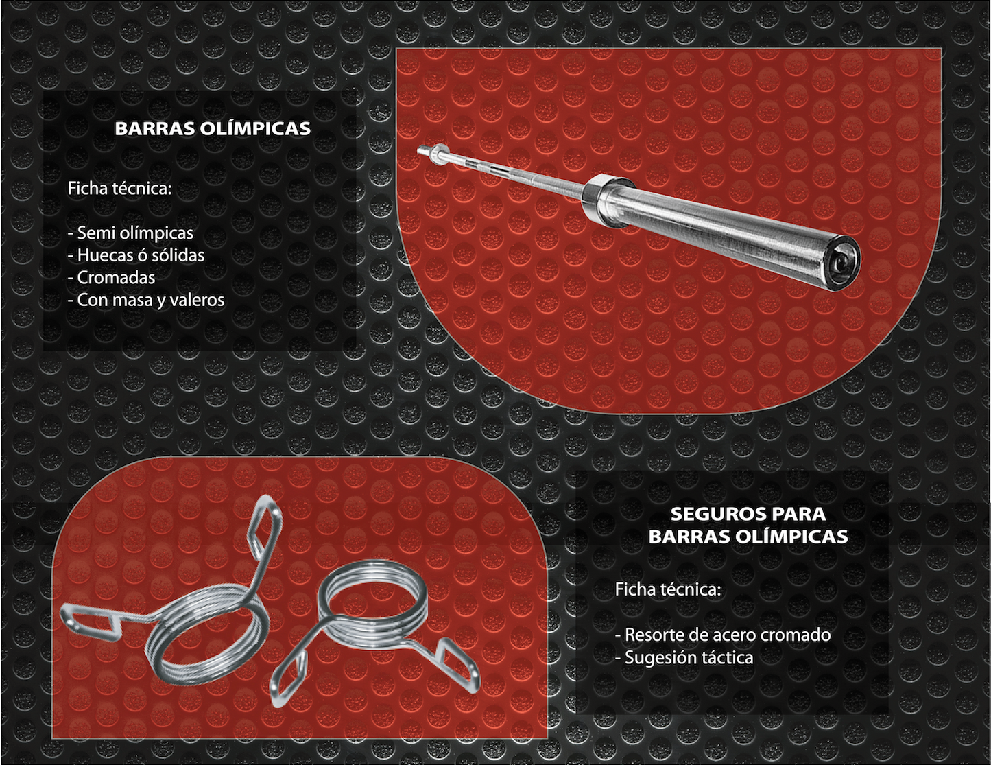 Barra olímpica (2.2 MTS)